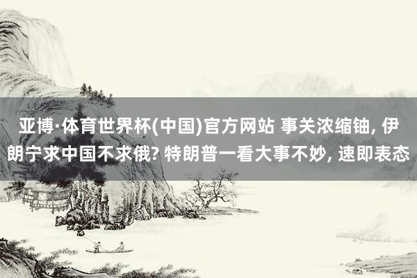 亚博·体育世界杯(中国)官方网站 事关浓缩铀, 伊朗宁求中国